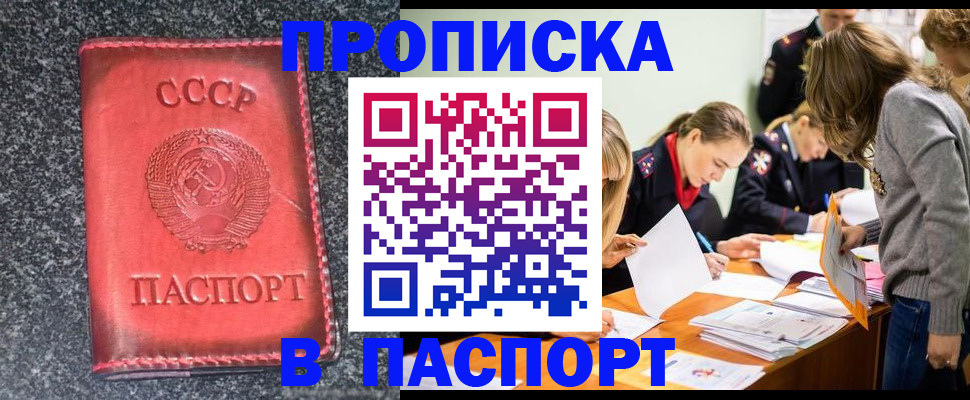 прописка для школы в Новомосковске